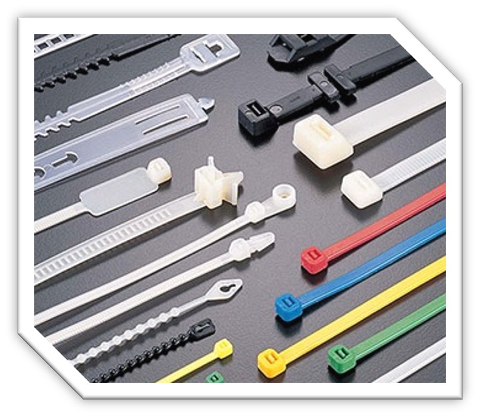 Cable Ties & Clips